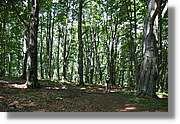 Bulgaria_0145.jpg