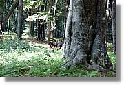 Bulgaria_0146.jpg