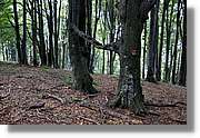 Bulgaria_0148.jpg