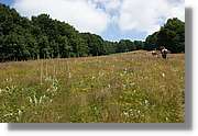 Bulgaria_0150.jpg