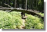 Bulgaria_0161.jpg