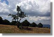 Bulgaria_0165.jpg