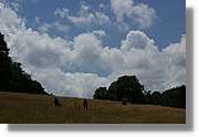 Bulgaria_0166.jpg
