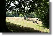 Bulgaria_0174.jpg