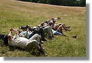 Bulgaria_0176.jpg