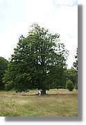 Bulgaria_0178.jpg