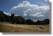 Bulgaria_0181.jpg