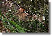 Bulgaria_0290.jpg