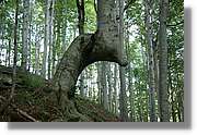 Bulgaria_0294.jpg