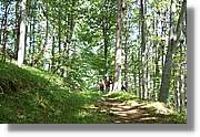 Bulgaria_0295.jpg