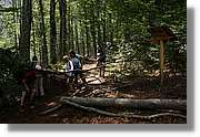 Bulgaria_0300.jpg