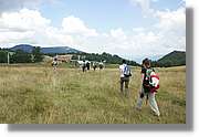 Bulgaria_0316.jpg