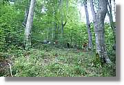 Bulgaria_0350.jpg