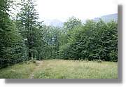 Bulgaria_0351.jpg