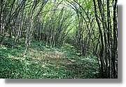 Bulgaria_0570.jpg