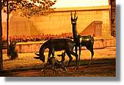Bulgaria_0601.jpg