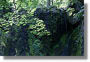 Bulgaria_0801.jpg