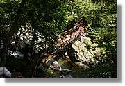 Bulgaria_0803.jpg