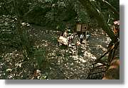 Bulgaria_0837.jpg