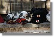 Bulgaria_0913.jpg
