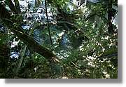 Bulgaria_0963.jpg