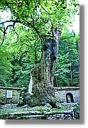 Bulgaria_0993.jpg