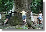 Bulgaria_0998.jpg