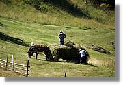 Bulgaria_1062.jpg