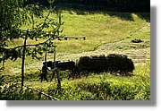 Bulgaria_1075.jpg