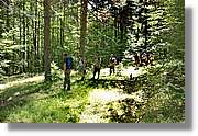 Bulgaria_1095.jpg