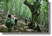 Bulgaria_1099.jpg