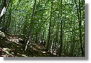 Bulgaria_1100.jpg