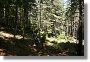 Bulgaria_1103.jpg