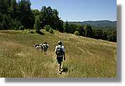 Bulgaria_1105.jpg