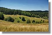 Bulgaria_1110.jpg