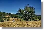 Bulgaria_1117.jpg