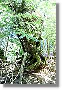 Bulgaria_1139.jpg