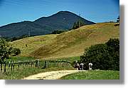 Bulgaria_1145.jpg