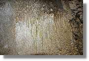 Bulgaria_1177.jpg