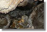 Bulgaria_1181.jpg