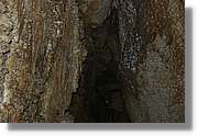 Bulgaria_1186.jpg