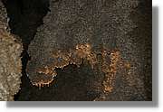 Bulgaria_1200.jpg
