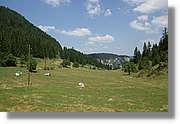 Bulgaria_1308.jpg