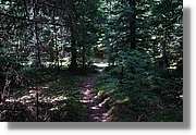 Bulgaria_1317.jpg