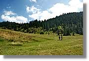 Bulgaria_1325.jpg