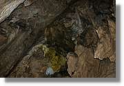 Bulgaria_1353.jpg