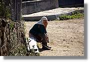 Bulgaria_1398.jpg