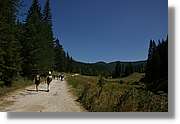 Bulgaria_1430.jpg