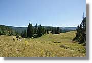 Bulgaria_1431.jpg