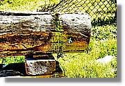 Bulgaria_1456.jpg